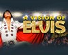 A Vision of Elvis 