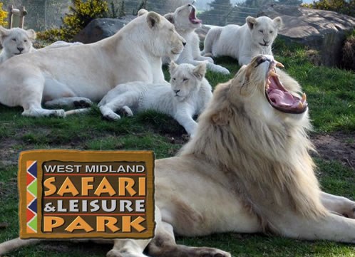Day out at West Midlands Safari Park