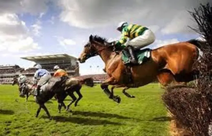 BHA makes Grand National safety changes