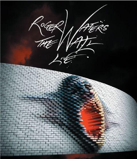 Pink Floyd Fans 'Comfortably Numb'