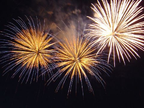 Pype Hayes Guy Fawkes night loses bonfire