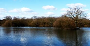 Hainault Forest Country Park