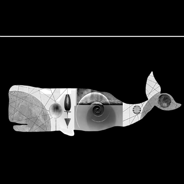 Tom Stades You Aint See Nothing Yet UK Tour