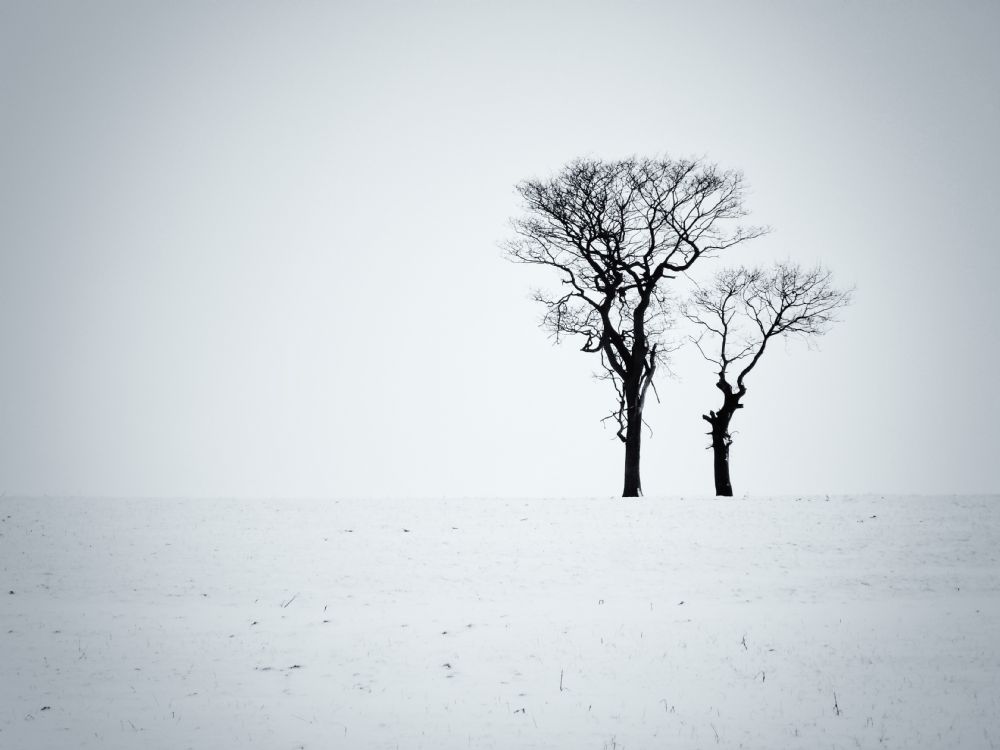 Monochrome Photography Exhibition