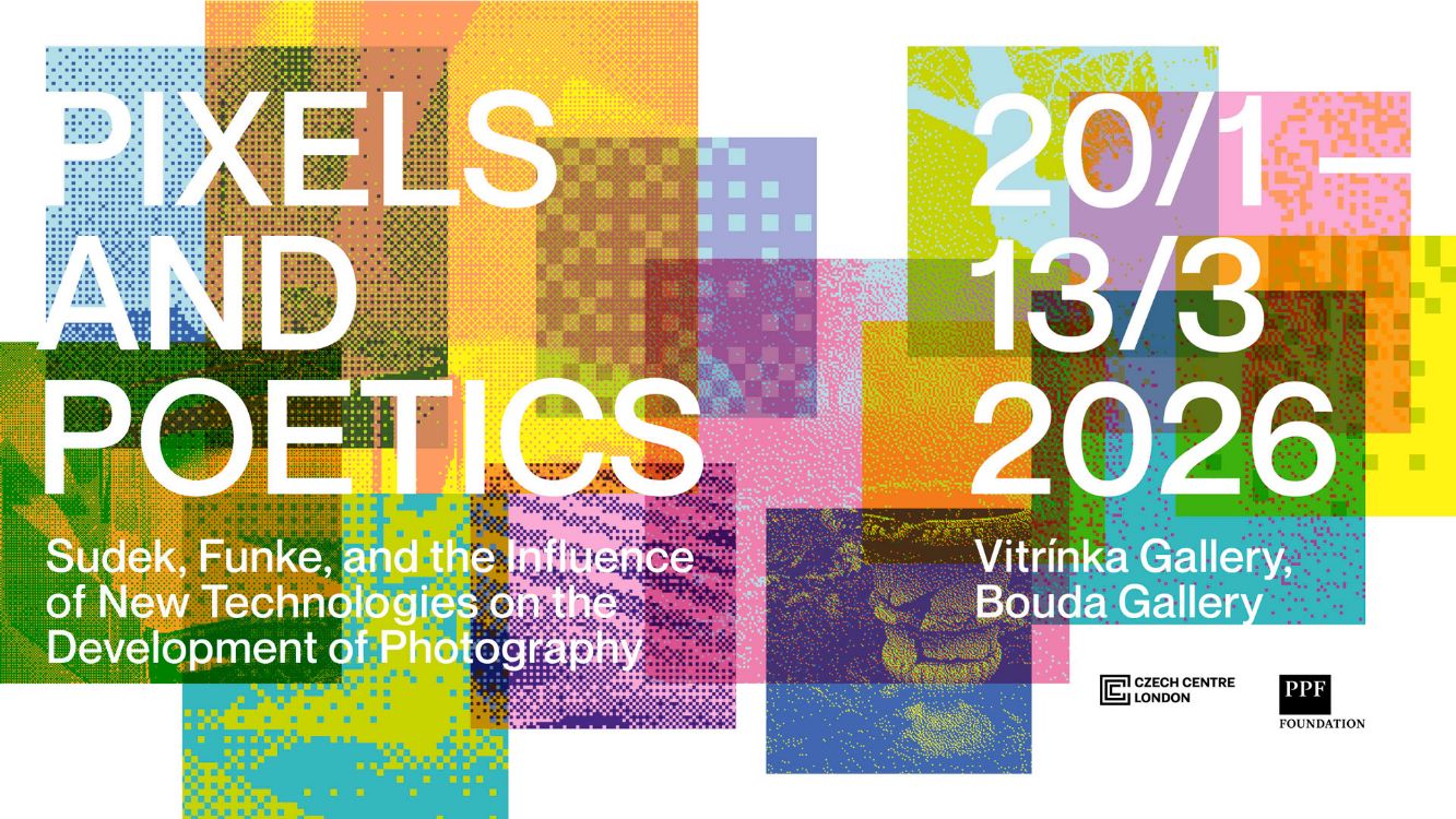 Pixels and Poetics: Private View