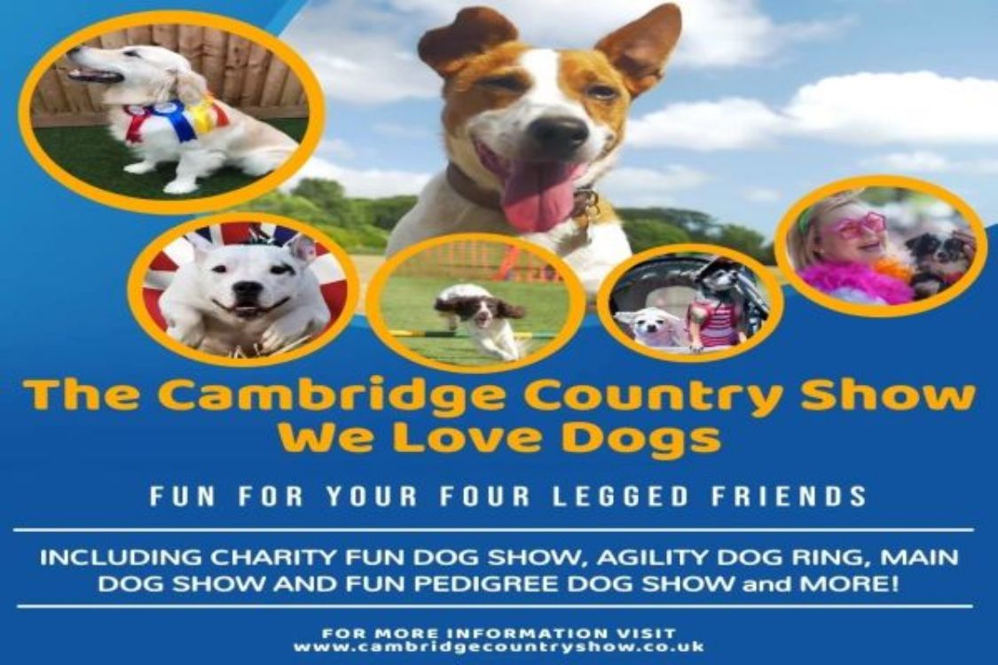 The Cambridge We love Dogs