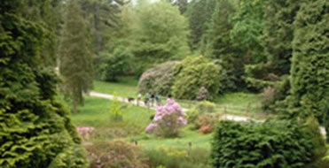 Bedgebury Pinetum And Forest