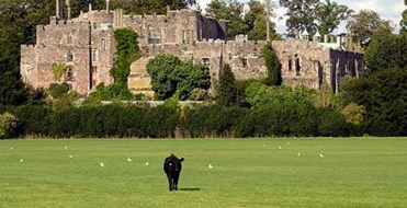 Berkeley Castle