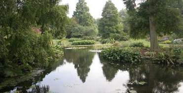 Beth Chatto Gardens
