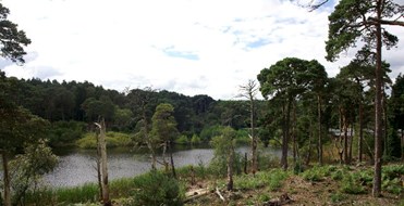 Brownsea Island Nature Reserve