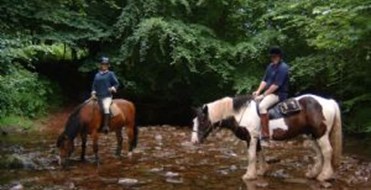 Cantref Adventure Farm And Riding Centre