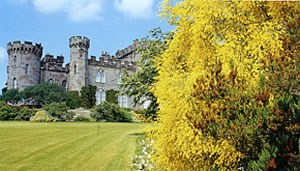 Cholmondeley Castle Gardens
