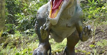 Combe Martin Wildlife And Dinosaur Park