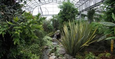 Duthie Park Winter Gardens