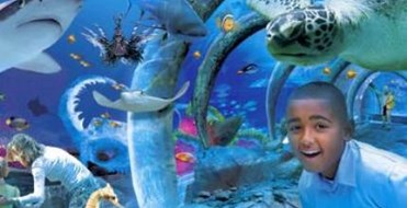 London Aquarium