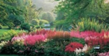 Marwood Hill Gardens