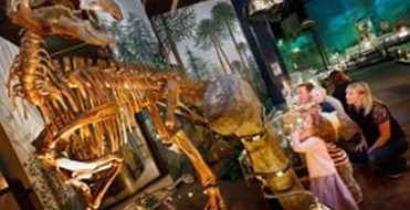 National Museum Cardiff