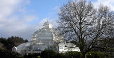 Palm House