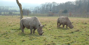 Port Lympne
