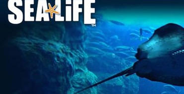 Sea Life Aquarium And Marine Sanctuary