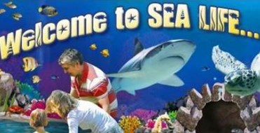 Sea Life Centre