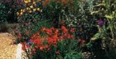 University Of Oxford Botanic Garden