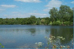 Weald Country Park
