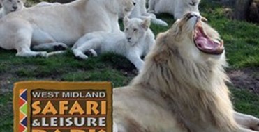 West Midlands Safari Park