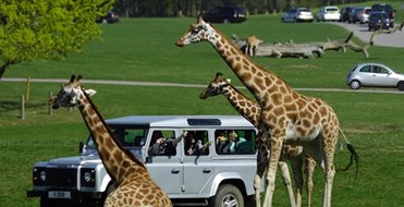 Woburn Safari Park